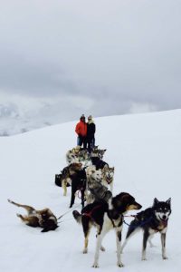 Couple with sled dogs.