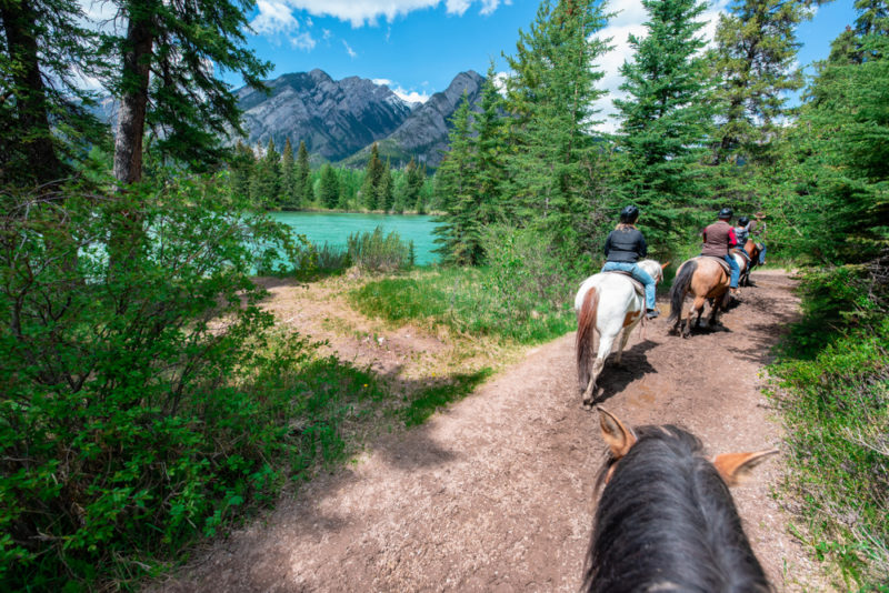 Horseback Riding in Alaska, an AweInspiring Experience