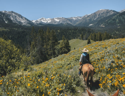 Horseback Riding in Alaska, an Awe-Inspiring Experience