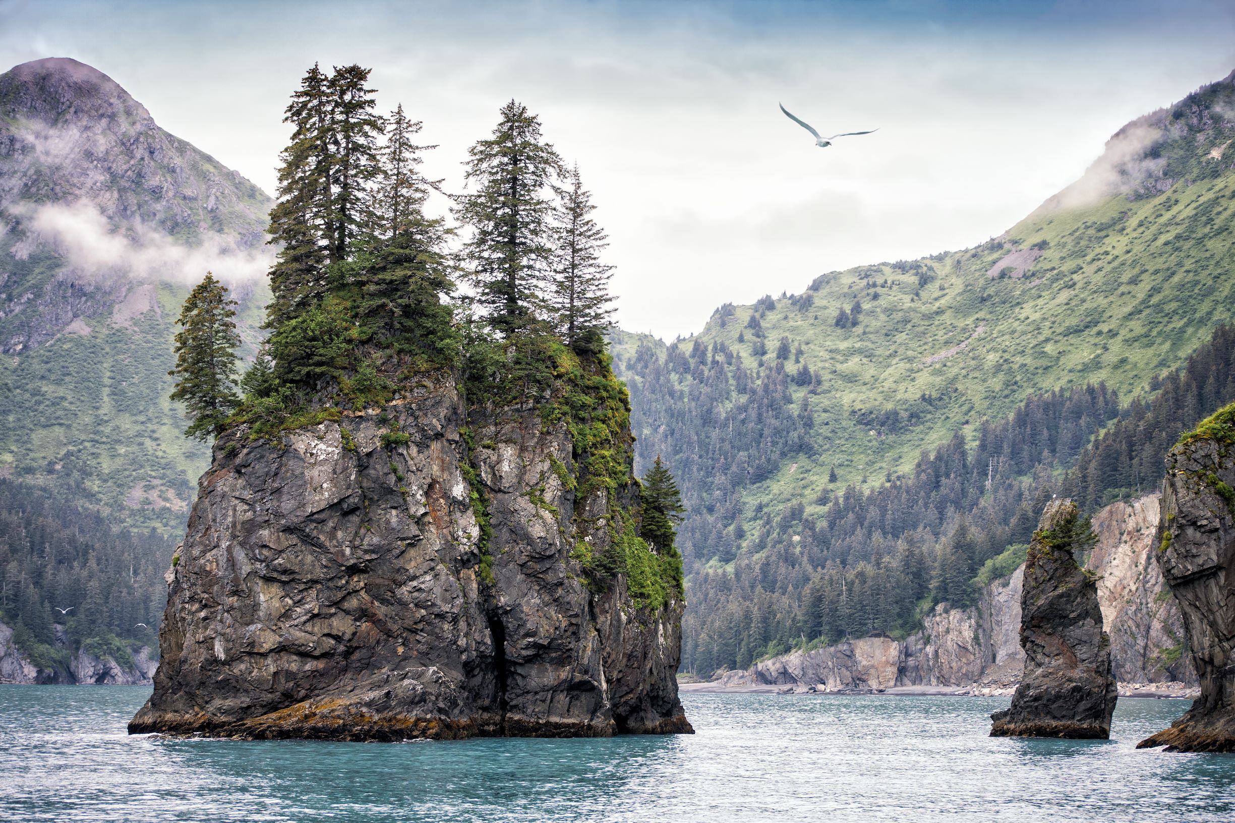 An up close view of the Resurrection Bay sea stacks.