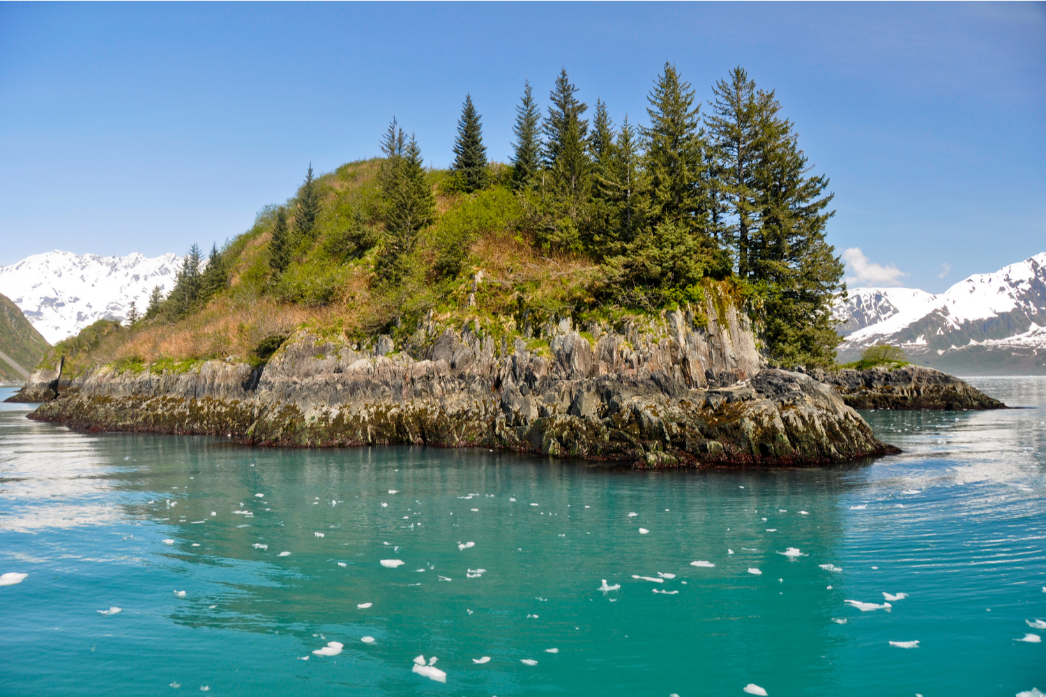 A stunning view of one of the many islands of the shores of the Kenai Peninsula.